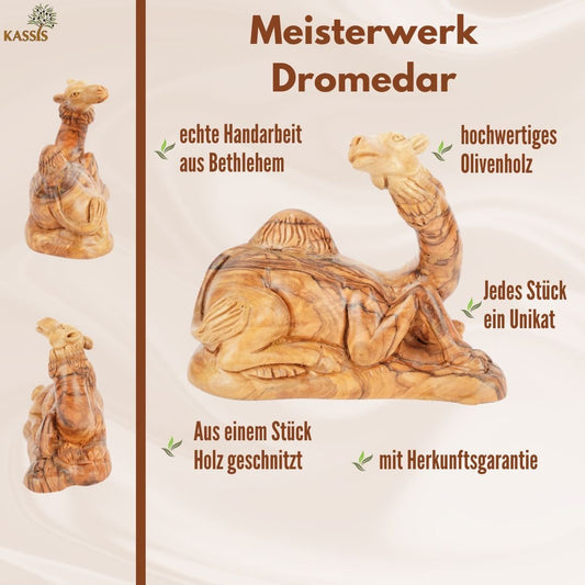 Handgeschnitztes Dromedar aus Olivenholz – Kunstvolle Krippenfigur aus Bethlehem (11,5 cm) - UrbanNest Co