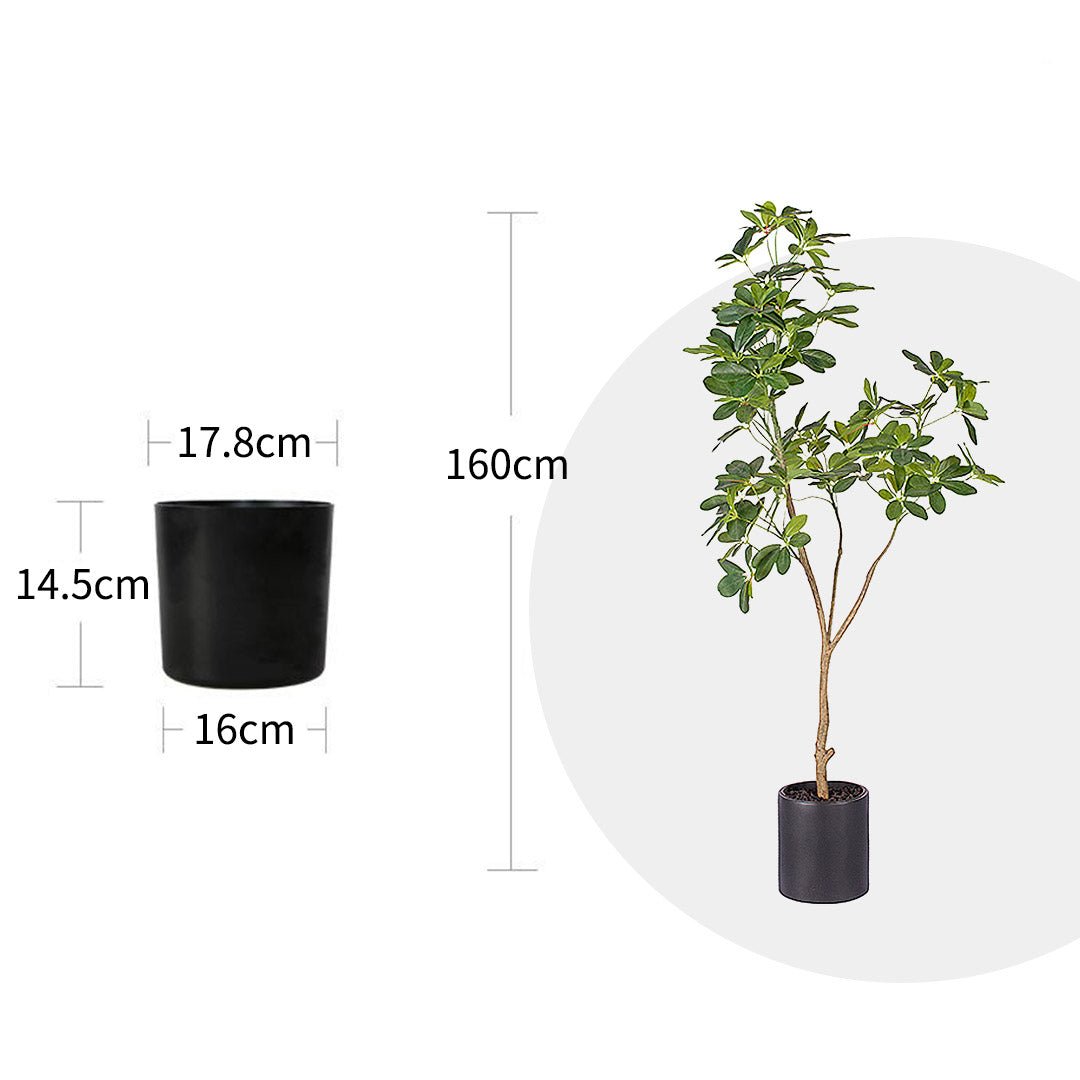 SOGA 2X 160cm Artificial Natural Green Schefflera Dwarf Umbrella Tree Fake Tropical Indoor Plant Home Office Decor - UrbanNest Co