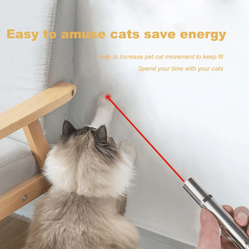 Pet Training Exercise Tool Cat Toys LED Pointer - UrbanNest Co