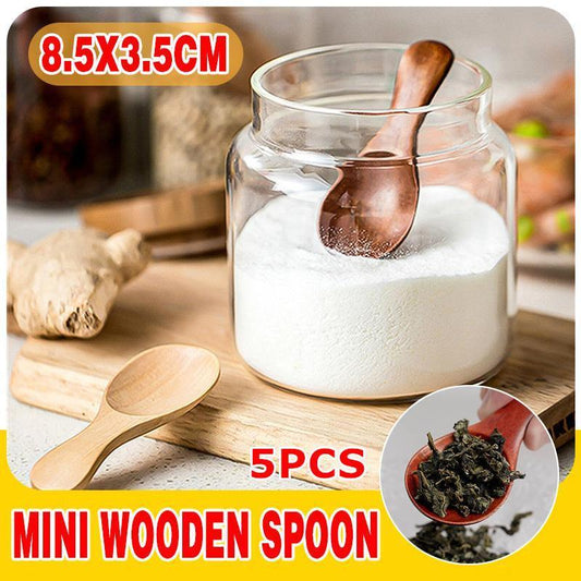 5PCS Mini Wooden Spoons Natural Wood Spice Condiment Dessert Scoops-0