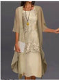 Elegant Lace Chiffon Dress Set - UrbanNest Co