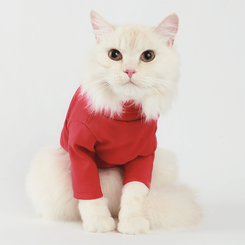 Label Turtleneck Red - UrbanNest Co