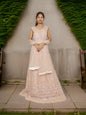 Gown with Thread Work & Stones by Shreekama - UrbanNest Co