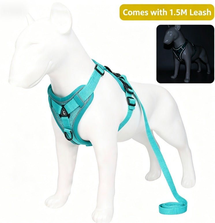 Pet Leash Reflective Breathable Cat Harness Vest Style Small Cat Breathable Reflective - UrbanNest Co