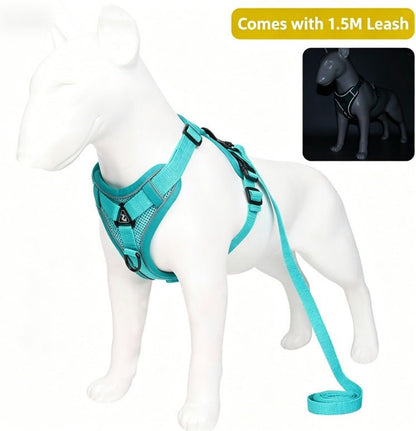 Pet Leash Reflective Breathable Cat Harness Vest Style Small Cat Breathable Reflective - UrbanNest Co