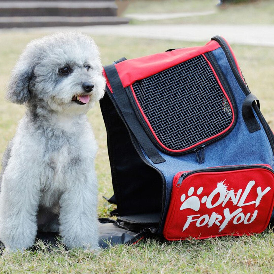 SOGA 2X Red Pet Carrier Backpack Breathable Mesh Portable Safety Travel Essentials Outdoor Bag - UrbanNest Co