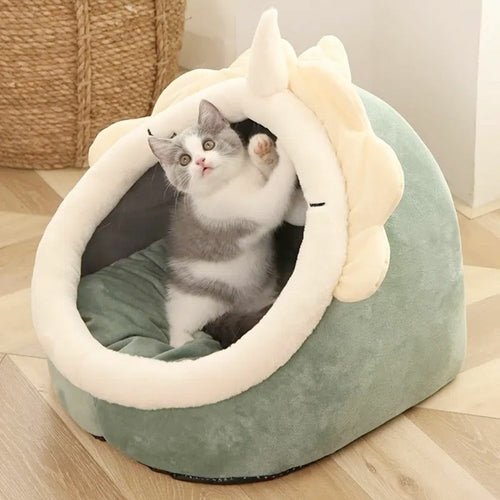 Adorable Dinosaur Pet House with Toy - UrbanNest Co