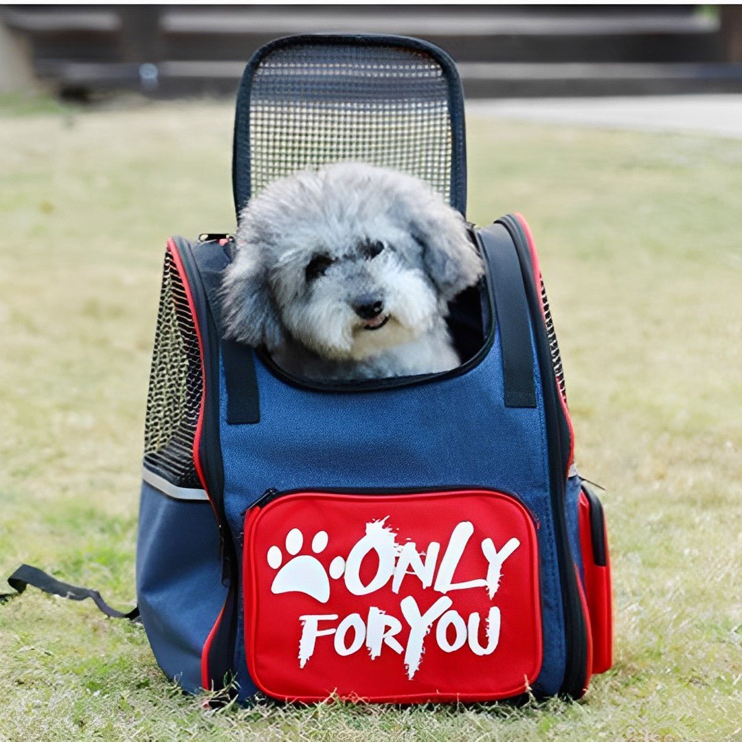 SOGA 2X Red Pet Carrier Backpack Breathable Mesh Portable Safety Travel Essentials Outdoor Bag - UrbanNest Co