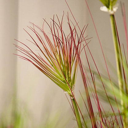 SOGA 2X 150cm Purple - Red Artificial Indoor Potted Papyrus Plant Tree Fake Simulation Decorative - UrbanNest Co