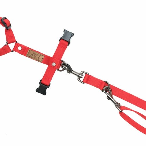 Lof Folding Lead Leash - UrbanNest Co