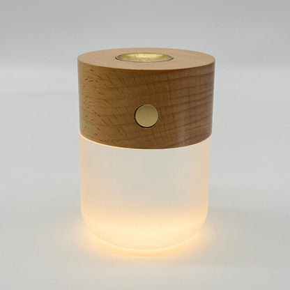 Moonlight Diffuser | Elegant Waterless Essential Oil & LED Light - UrbanNest Co