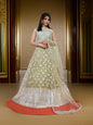 Embellished Flared Lehenga Choli Set with Dupatta by Shreekama - UrbanNest Co