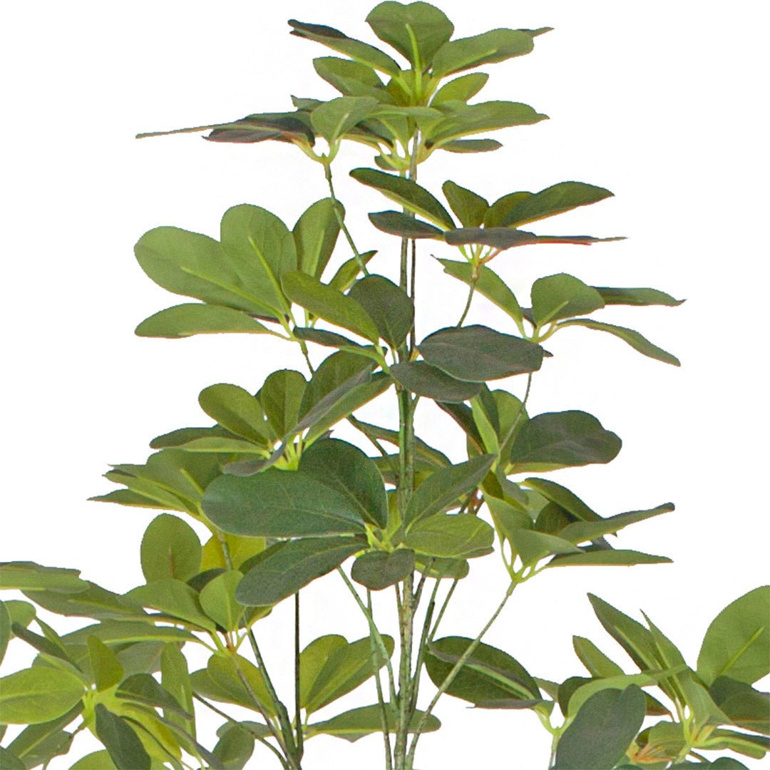 SOGA 2X 160cm Artificial Natural Green Schefflera Dwarf Umbrella Tree Fake Tropical Indoor Plant Home Office Decor - UrbanNest Co