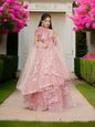 Sequins & Embroidered Lehenga Choli Set - UrbanNest Co