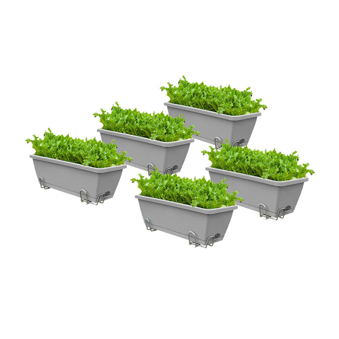 SOGA 49.5cm Gray Rectangular Planter Vegetable Herb Flower Outdoor Plastic Box with Holder Balcony Garden Decor Set of 5 - UrbanNest Co