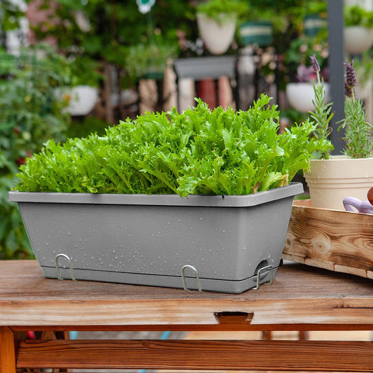 SOGA 49.5cm Gray Rectangular Planter Vegetable Herb Flower Outdoor Plastic Box with Holder Balcony Garden Decor Set of 5 - UrbanNest Co