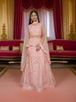 Embroidered & Zari Thread Work Lehenga Choli Set - UrbanNest Co