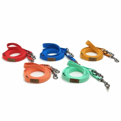 Lof Folding Lead Leash - UrbanNest Co