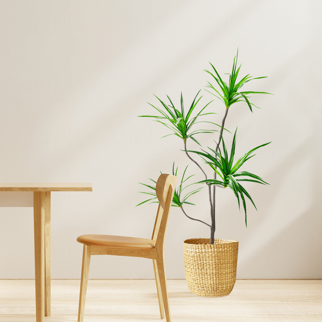SOGA 4X 180cm Realistic Artificial Dracaena, Rubberised Silk Cloth + Iron Wire, Home Decor - UrbanNest Co