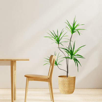 SOGA 4X 180cm Realistic Artificial Dracaena, Rubberised Silk Cloth + Iron Wire, Home Decor - UrbanNest Co