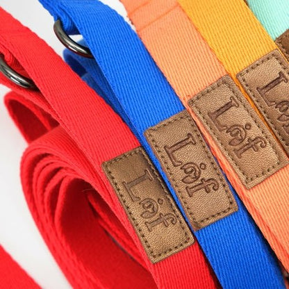 Lof Folding Lead Leash - UrbanNest Co