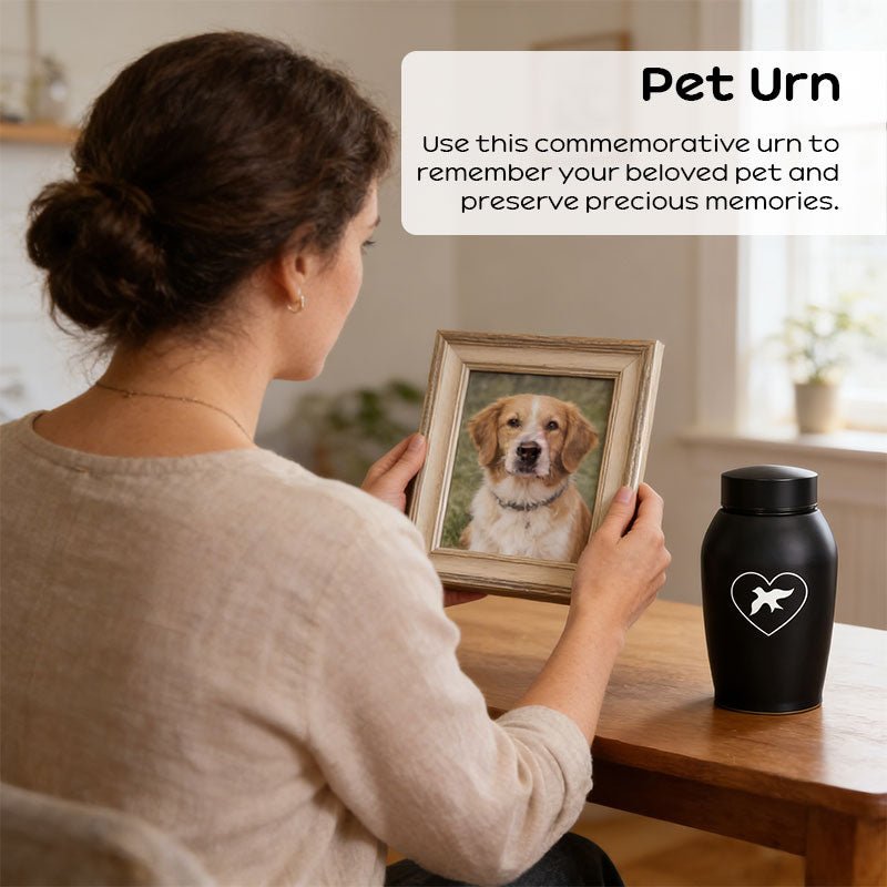 Stainless Steel Pet Memorial Urn: Black Portable & Moisture - Proof Ash Keepsake Designed for Small Pets - UrbanNest Co