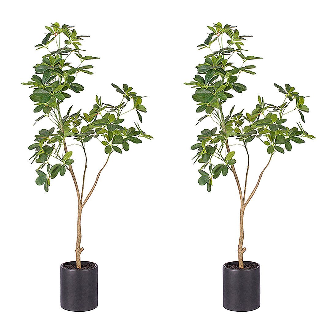 SOGA 2X 160cm Artificial Natural Green Schefflera Dwarf Umbrella Tree Fake Tropical Indoor Plant Home Office Decor - UrbanNest Co