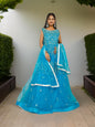 Net Fabric Gown with Mirror & Pearls by Shreekama - UrbanNest Co