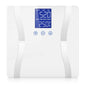 NNEAGS Glass LCD Digital Body Fat Scale Bathroom Electronic Gym Water Weighing Scales White - UrbanNest Co