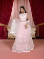 Beautiful mirror and stone work on this pink lehenga set for women by Shreekama - UrbanNest Co