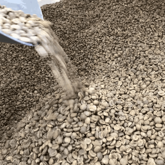 Jaques Green Coffee Beans - UrbanNest Co